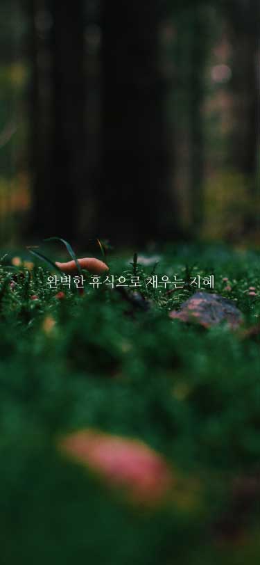 완벽한 휴식으로 채우는 지혜
