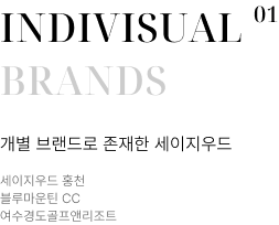 Indivisual Brands 01 - 개별 브랜드로 존재한 세이지우드 홍천, 블루마운틴 CC, 여수경도골프앤리조트